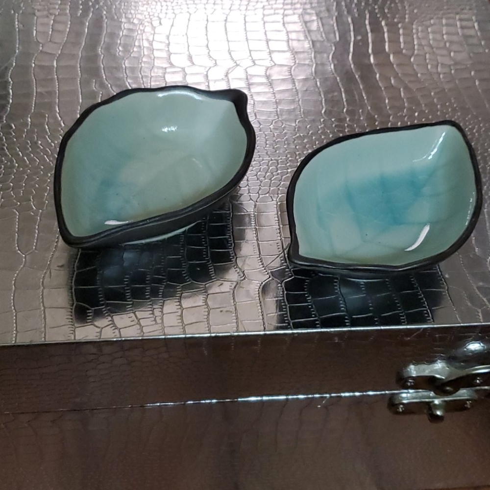 Set of 2 sauce dishes